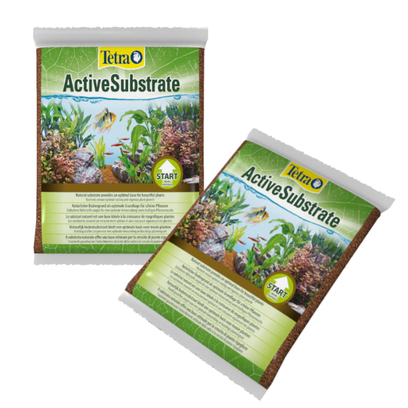 active substrat 6 22.jpg